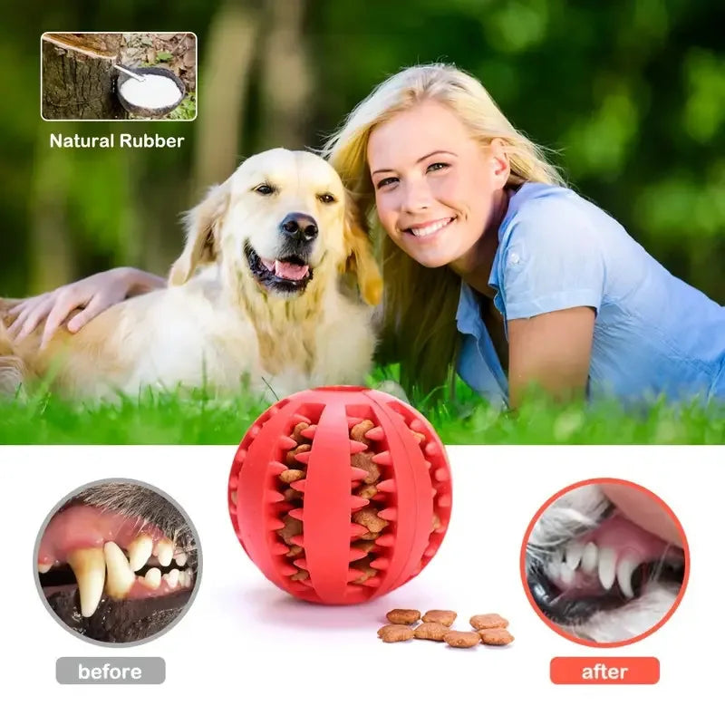 Interactive Dog Toy Ball - Rubber Chew Ball for Puppies Pet Tooth Cleaning Feeder Silicone Treat Ball for Cats And Dogs